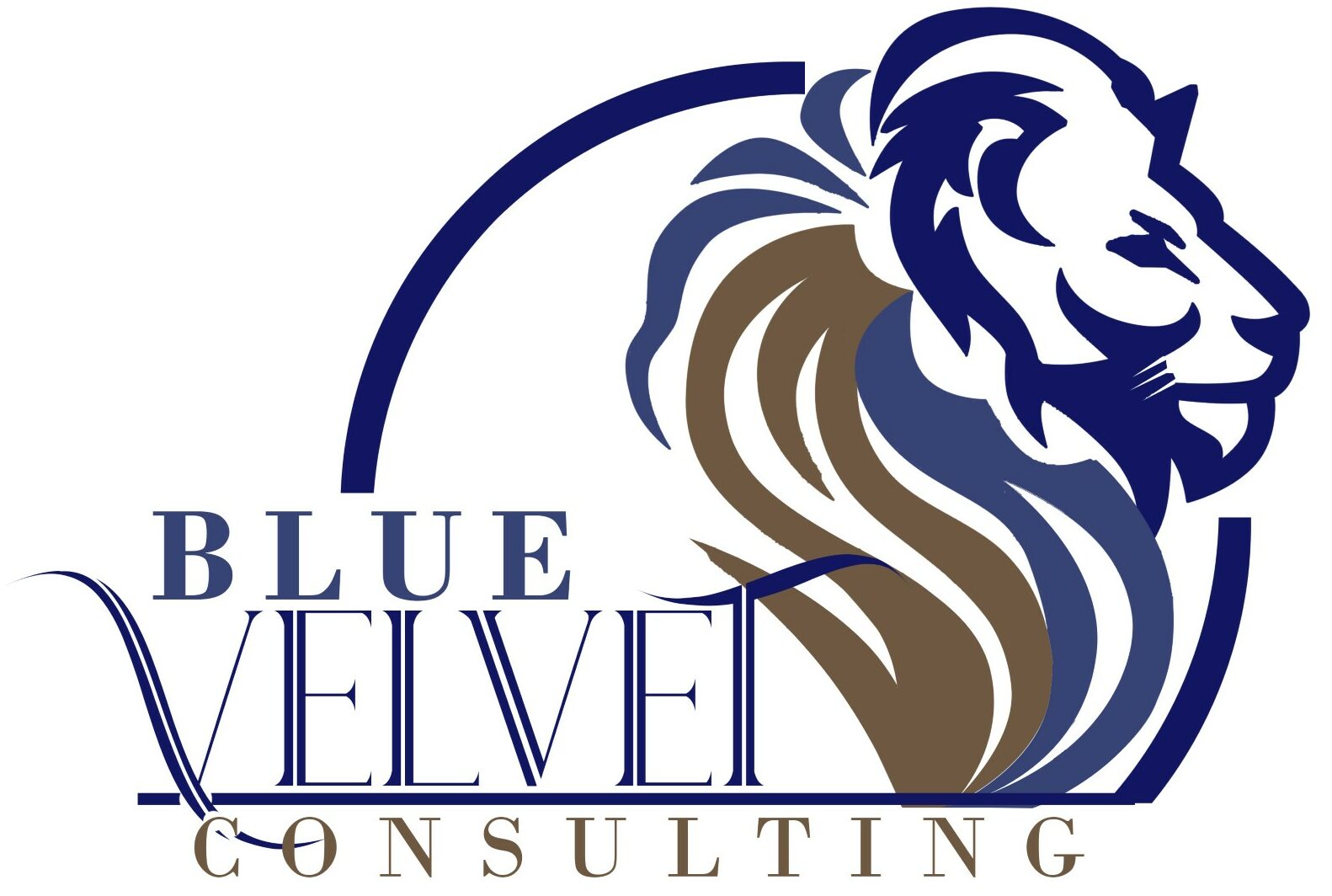 Blue Velvet Consulting – Site Officiel